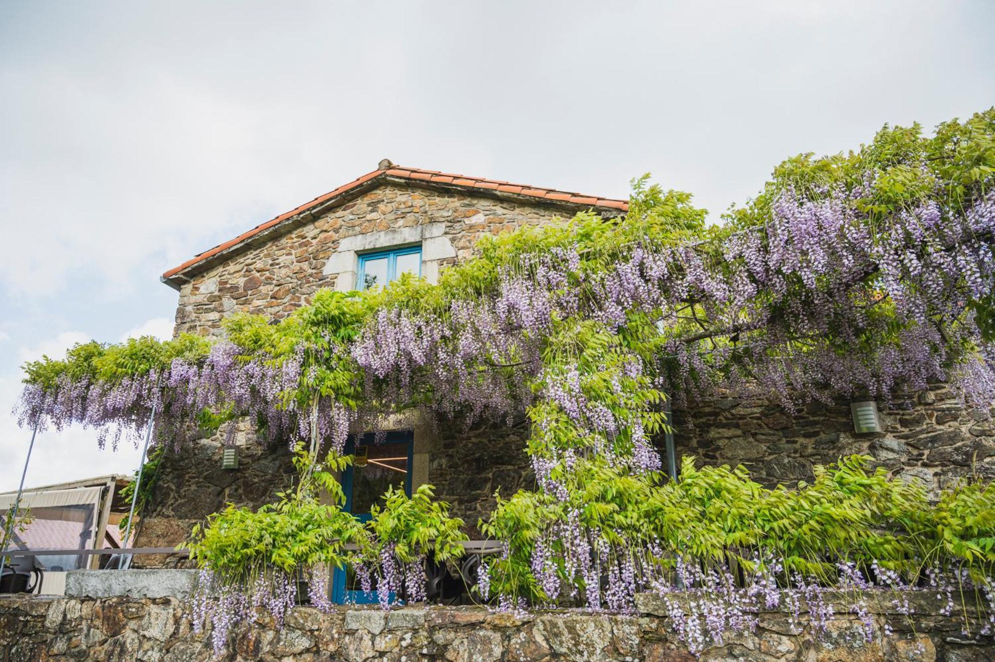 Casa De Amancio Hotel Lavacolla